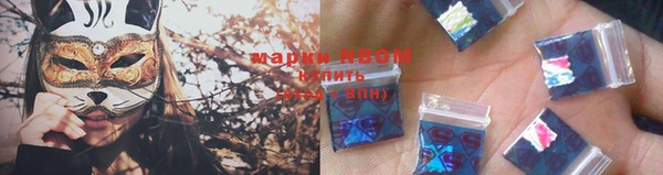 хмурый Аркадак