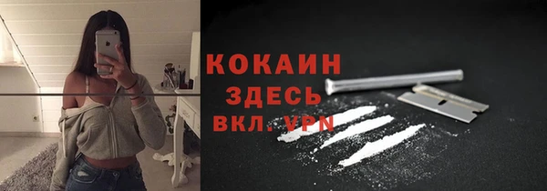 винт Протвино