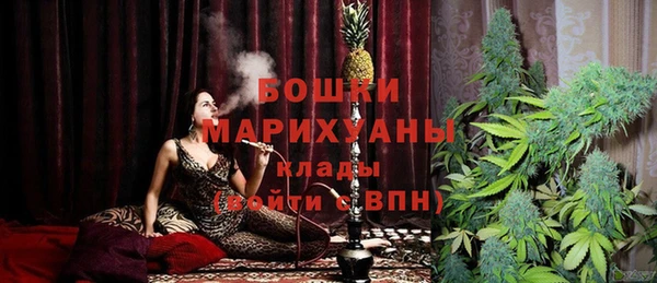 хмурый Аркадак