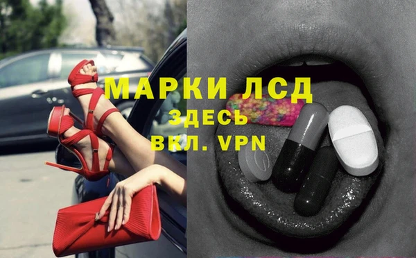 хмурый Аркадак