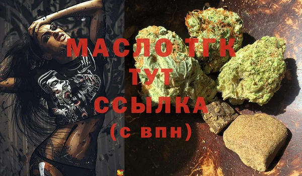 хмурый Аркадак