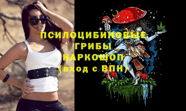 хмурый Аркадак