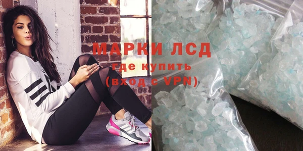 стаф Арсеньев