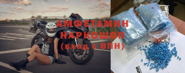 хмурый Аркадак