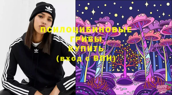 хмурый Аркадак