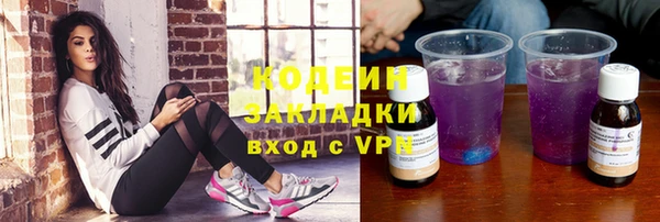 стаф Арсеньев